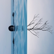 Parallel Perceptions