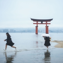 on the sea & torii