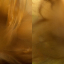 Different View of Familiar Objects