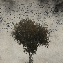Flying Birds and Trees