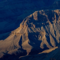 In the Shadows of Giants 