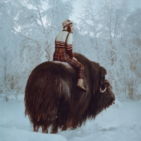 Snow Ride