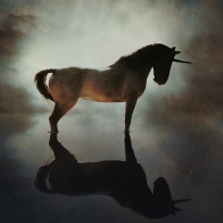 The Unicorn Reflected
