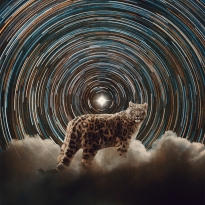 Polaris