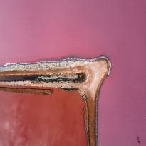 Salt Lakes Good Enough To Eat!