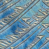 MICROCRYSTALS IN POLARIZED LIGHT, a mixture of urea and resorcinol.