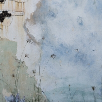 Wall, Weed, and Sky; Costa Norte, Dominican Republic