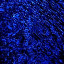 The Threshold of the Abyss