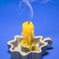 Sic transit gloria mundi (How ephemeral are things of the world)