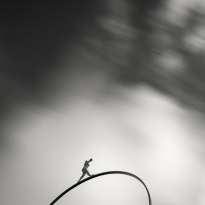 Gevorg Tadevosyan's ”Summer“