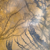 Flow Paths