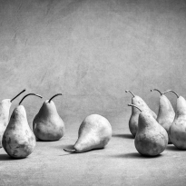 Paying Last Respects