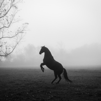 Sleepy Hollow