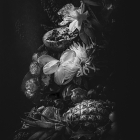 Still Life of pineapple and daffodils