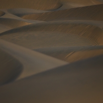 Desert Sentinel