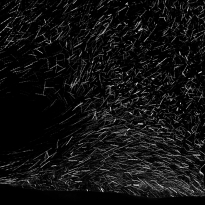 Black Hole