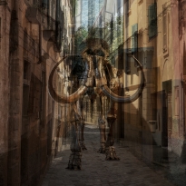 EXTINCT