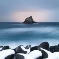 Beyond the tetrapods