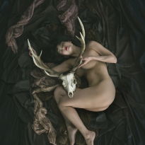 The Circulating Body